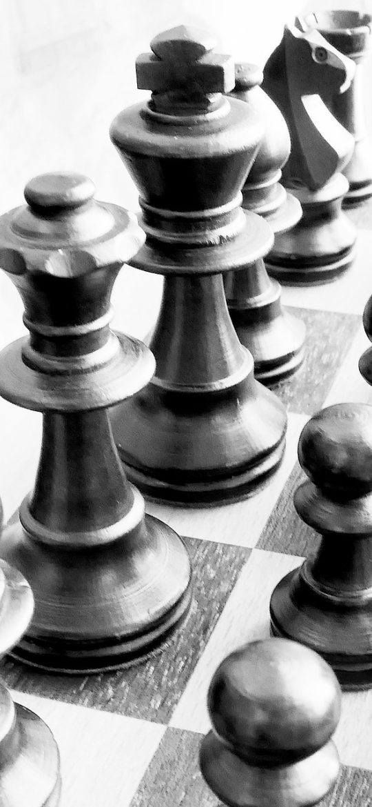 围棋ai客户端对局界面截图，深色棋盘上黑白棋子交错分布，右侧显示实时胜率曲线与目差估算数值